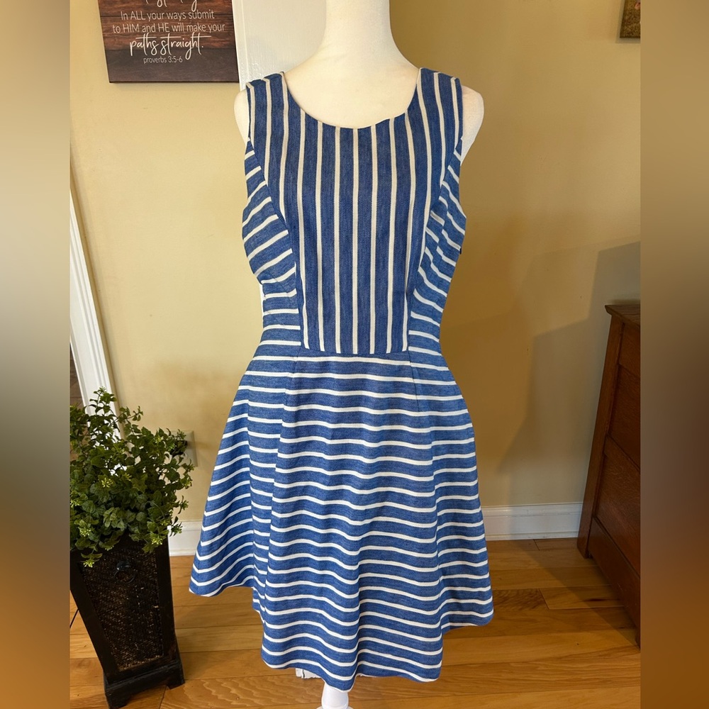 Vineyard Vines Blue and White Striped Sleeveless Fit-and-Flare Dress
